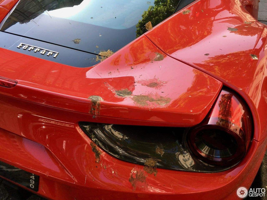 Autolak veilig reinigen